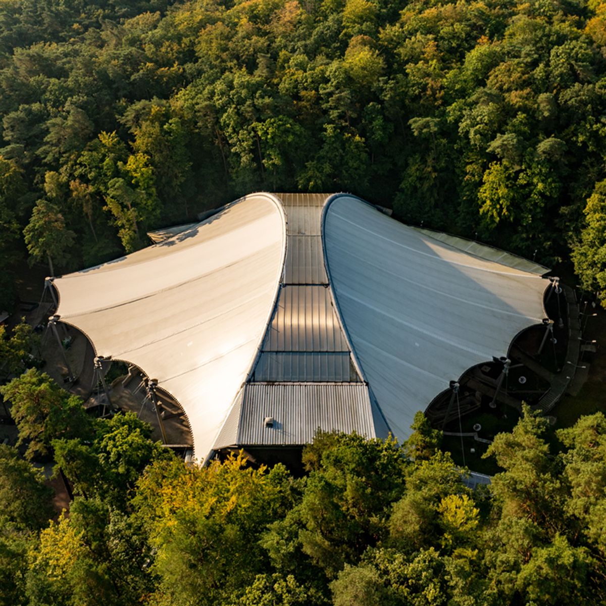 The Forest Opera in Sopot is one of Poland's most iconic open-air venues, surrounded by woodland. This temporary visual identity was created to accompany Energa's patronage of the venue. The goal was to balance a contemporary visual language with forms inspired by the unpredictable rhythm, density, and structure of the forest embracing the stage.